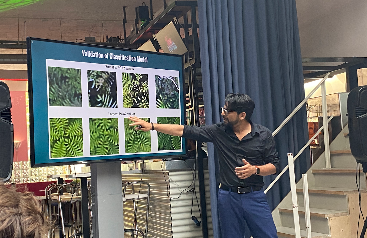 Classification model demo
